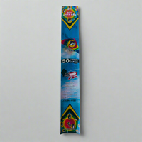 Buc-ee's Nylon Delta Kites