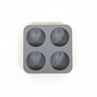 Buc-ee's Ice Mold Tray