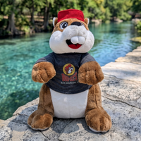 Buc-ee's San Marcos, TX Plushie