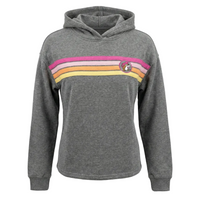 Buc-ee's Grey Retro Sunset Stripe Collection